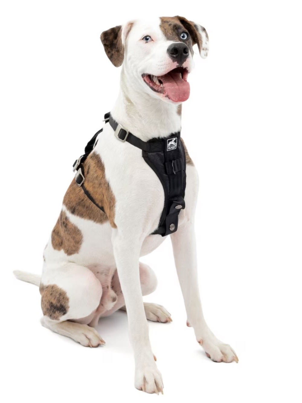 Kurgo Tru-Fit Enhanced Strength Crash Tested Smart Car Dog Harness, MED, unused!